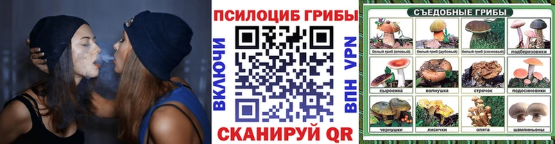 KRAKEN ссылки Светлый Галлюциногенные грибы прущие грибы купить закладку